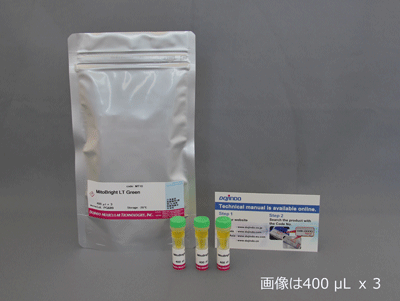 細胞膜染色試薬 Red PlasMem Bright Red 同仁化学研究所