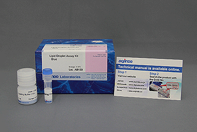 脂肪滴測定キット Lipid Droplet Assay Kit - Blue 同仁化学研究所