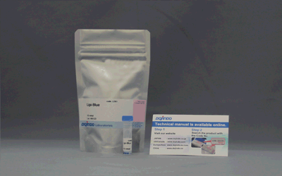 脂肪滴測定キット Lipid Droplet Assay Kit - Blue 同仁化学研究所