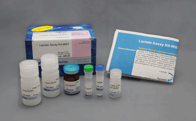 脂肪滴染色蛍光色素 Lipi-Red 同仁化学研究所