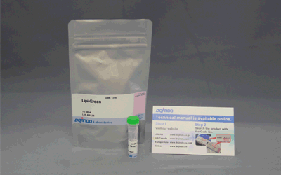 脂肪滴染色蛍光色素 Lipi-Green 同仁化学研究所