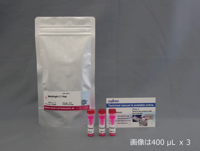 ミトコンドリア染色用色素 Red MitoBright LT Red 同仁化学研究所