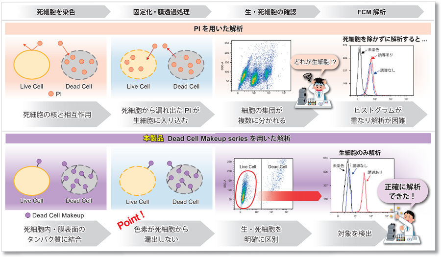 死細胞標識試薬（Deep Red） Dead Cell Makeup Deep Red - Higher Retention than PI 同仁化学研究所