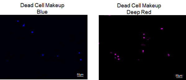 死細胞標識試薬（Deep Red） Dead Cell Makeup Deep Red - Higher Retention than PI 同仁化学研究所