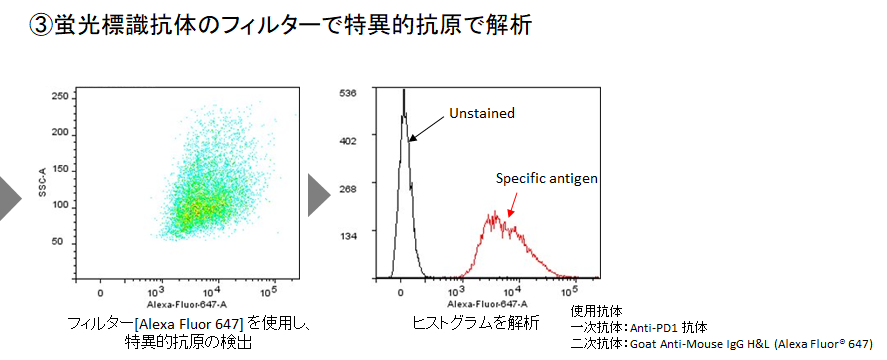 死細胞標識試薬（Deep Red） Dead Cell Makeup Deep Red - Higher Retention than PI 同仁化学研究所