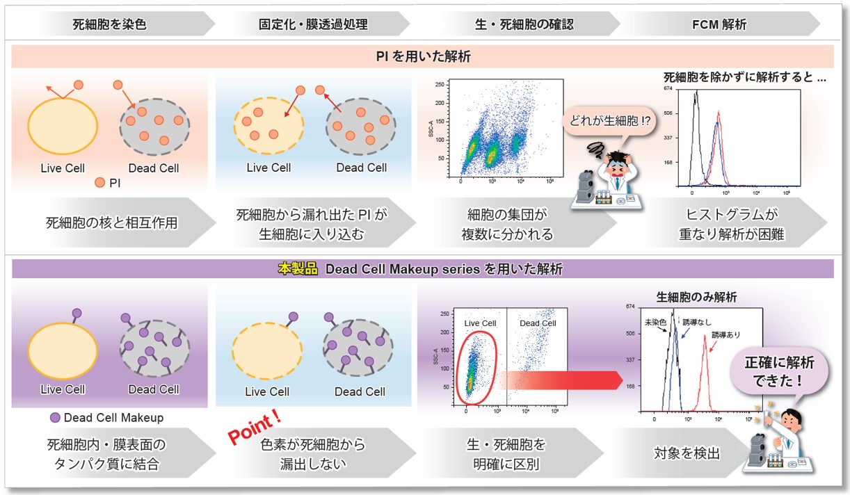 死細胞標識試薬（Blue） Dead Cell Makeup Blue - Higher Retention than PI 同仁化学研究所