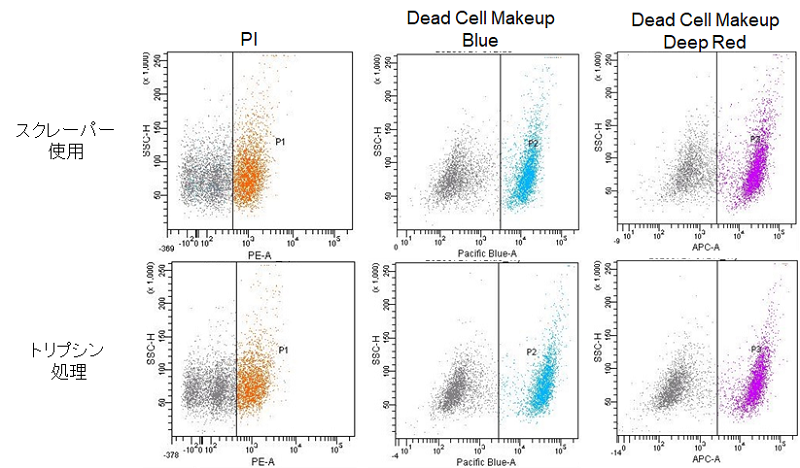 死細胞標識試薬（Blue） Dead Cell Makeup Blue - Higher Retention than PI 同仁化学研究所