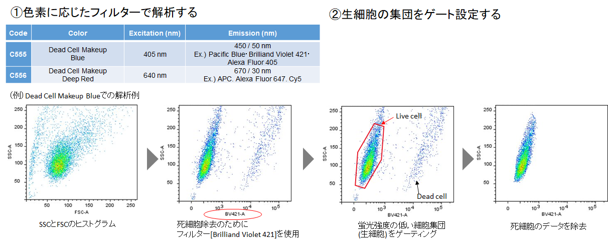 死細胞標識試薬（Blue） Dead Cell Makeup Blue - Higher Retention than PI 同仁化学研究所