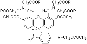 生細胞染色用色素 -Cellstain®- Calcein-AM | CAS 148504-34-1 同仁化学研究所
