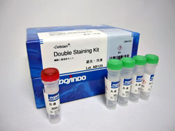 細胞二重染色キット -Cellstain&reg;- Double Staining Kit 同仁化学研究所