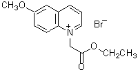 塩化物イオン測定試薬 MQAE | CAS 124505-60-8 同仁化学研究所