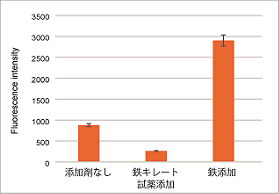 細胞内鉄イオン測定試薬 FerroOrange | CAS - 同仁化学研究所