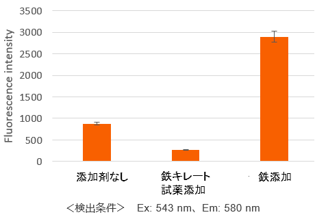 細胞内鉄イオン測定試薬 FerroOrange | CAS - 同仁化学研究所