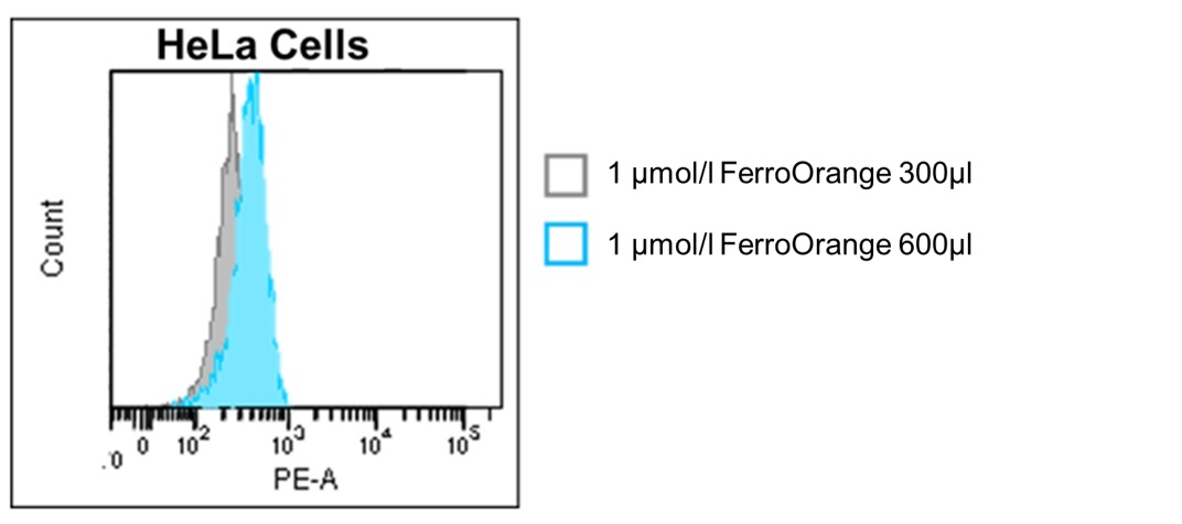 細胞内鉄イオン測定試薬 FerroOrange | CAS - 同仁化学研究所
