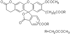 細胞内pH測定試薬 BCECF-AM | CAS 117464-70-7 同仁化学研究所