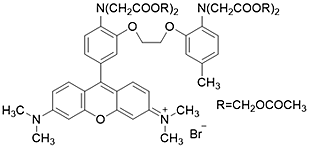 カルシウムイオン測定試薬 Rhod 2-AM | CAS 145037-81-6 同仁化学研究所
