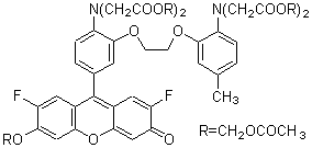 細胞内カルシウムイオン測定試薬 Fluo 4-AM | CAS 273221-67-3 同仁化学研究所