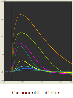 細胞内カルシウムイオン測定キット Calcium Kit II - iCellux 同仁化学研究所