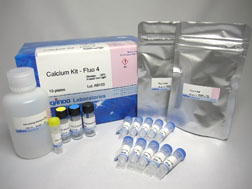 細胞内カルシウムイオン測定キット Calcium Kit - Fluo 4 同仁化学研究所