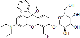 β-galactosidaseの検出試薬 SPiDER-βGal | CAS 1824699-57-1 同仁化学研究所