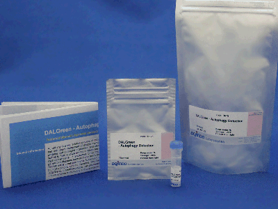 β-galactosidaseの検出試薬 SPiDER-βGal | CAS 1824699-57-1 同仁化学研究所