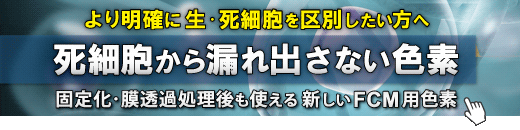 死細胞染色色素 -Cellstain&reg;- PI solution | CAS 25535-16-4(PI) 同仁化学研究所