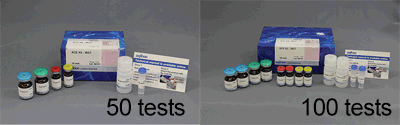 抗酸化能測定キット SOD Assay Kit - WST 同仁化学研究所