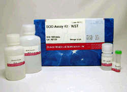 抗酸化能測定キット DPPH Antioxidant Assay Kit 同仁化学研究所