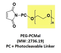 生体硫黄解析用試薬 -SulfoBiotics- PEG-PCMal 同仁化学研究所