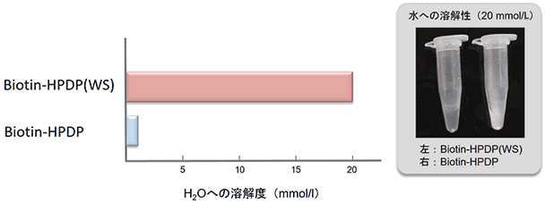 生体硫黄解析用試薬 -SulfoBiotics- Biotin-HPDP(WS) solution | CAS - 同仁化学研究所