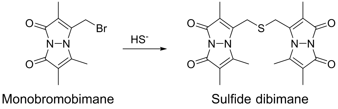 生体硫黄解析用試薬 -SulfoBiotics- Sulfide dibimane | CAS 1392113-30-2 同仁化学研究所