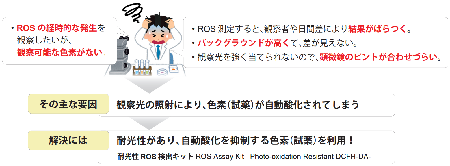 耐光性トータルROS検出キット ROS Assay Kit -Photo-oxidation Resistant DCFH-DA- 同仁化学研究所