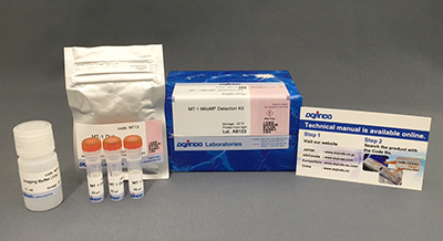 耐光性トータルROS検出キット ROS Assay Kit -Photo-oxidation Resistant DCFH-DA- 同仁化学研究所