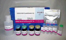 耐光性トータルROS検出キット ROS Assay Kit -Photo-oxidation Resistant DCFH-DA- 同仁化学研究所