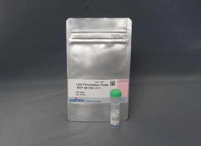 脂質過酸化検出試薬 Lipid Peroxidation Probe -BDP 581/591 C11- 同仁化学研究所