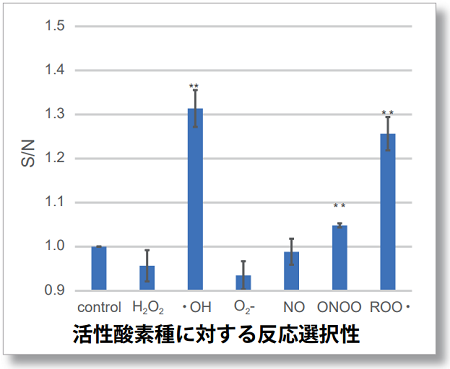 脂質過酸化検出試薬 Lipid Peroxidation Probe -BDP 581/591 C11- 同仁化学研究所