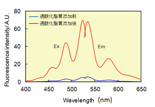 過酸化脂質検出蛍光試薬 Liperfluo | CAS 1448846-35-2 同仁化学研究所