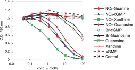 DNAダメージ検出抗体 Anti-Nitroguanosine monoclonal antibody(Clone#NO2G52) 同仁化学研究所