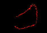 DNAダメージ検出抗体 Anti-Nitroguanosine polyclonal antibody 同仁化学研究所