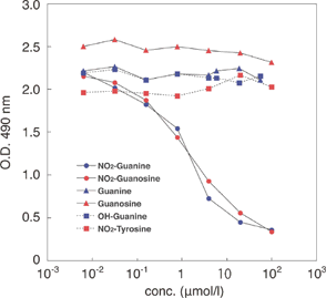 DNAダメージ検出抗体 Anti-Nitroguanosine polyclonal antibody 同仁化学研究所