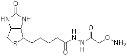 ストレスマーカー検出試薬 ARP(Aldehyde Reactive Probe) | CAS 139585-03-8 同仁化学研究所