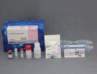 グルタミン酸測定キット Glutamate Assay Kit-WST 同仁化学研究所