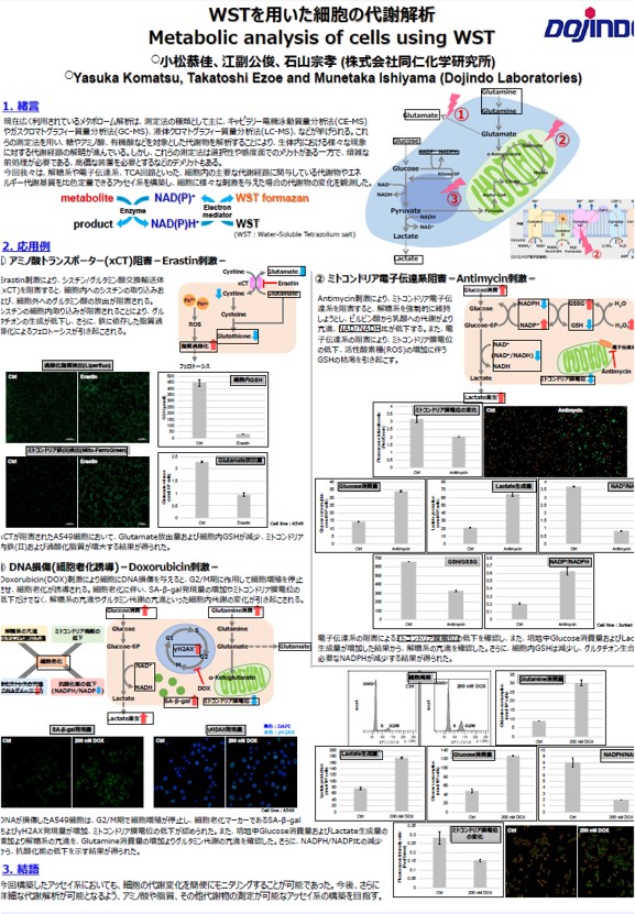 グルタミン酸測定キット Glutamate Assay Kit-WST 同仁化学研究所