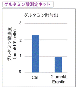 グルタミン酸測定キット Glutamate Assay Kit-WST 同仁化学研究所