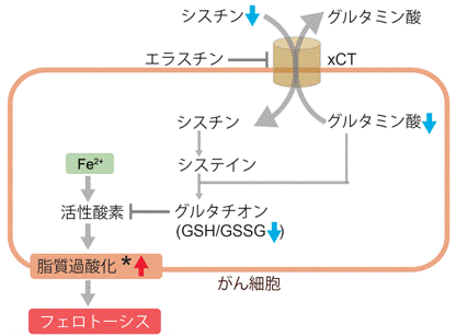 グルタミン酸測定キット Glutamate Assay Kit-WST 同仁化学研究所