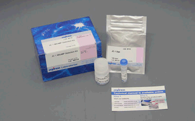 グルタミン酸測定キット Glutamate Assay Kit-WST 同仁化学研究所