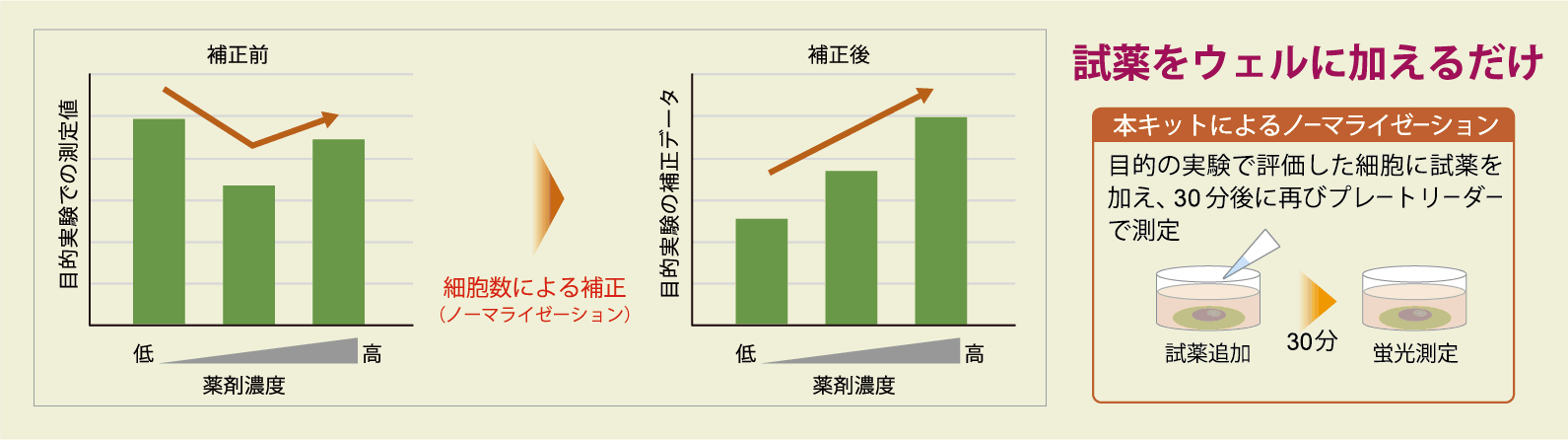 グルコース測定キット Glucose Assay Kit-WST 同仁化学研究所