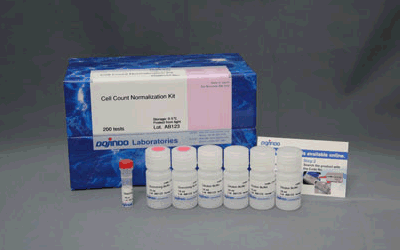 グルコース測定キット Glucose Assay Kit-WST 同仁化学研究所