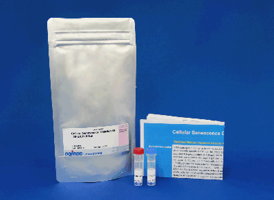 グルコース測定キット Glucose Assay Kit-WST 同仁化学研究所