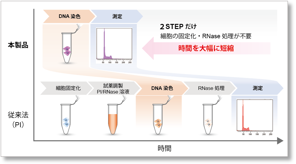 細胞周期測定試薬 Cell Cycle Assay Solution Blue 同仁化学研究所